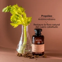 Hot Champú Anticaspa Seca Tratamientos Capilares