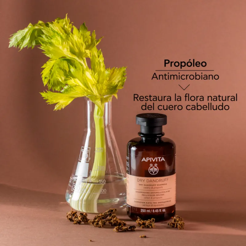 Hot Champú Anticaspa Seca Tratamientos Capilares