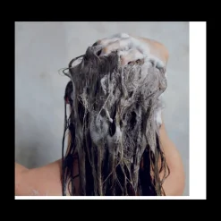 Sale Champú Regenerador Ageless Tratamientos Capilares