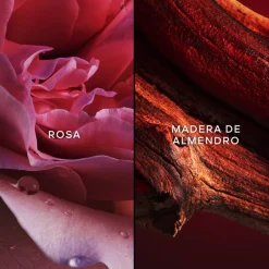 Clearance CHAMPS-ELYSÉES EDT 75ML Mujer Eau De Toilette Mujer