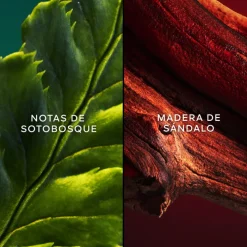 Sale CHANT D'ARÔMES EDT 75ML Mujer Eau De Toilette Mujer