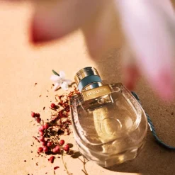 Hot Chloé Nomade Lumière d'Égypte Eau de Parfum Perfume de Mujer Mujer Eau De Parfum Mujer