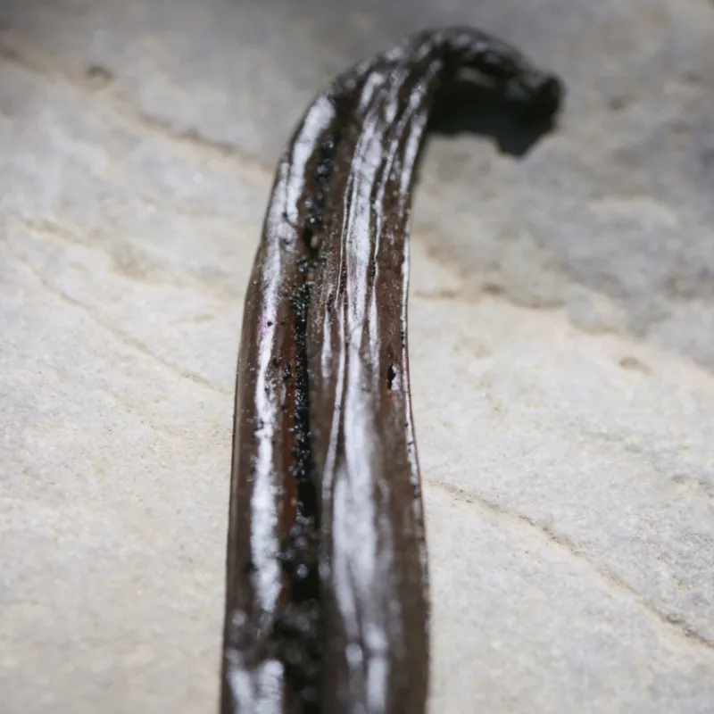 Online Chloé Nomade Naturelle Eau de Parfum Vaporizador Mujer Eau De Parfum Mujer