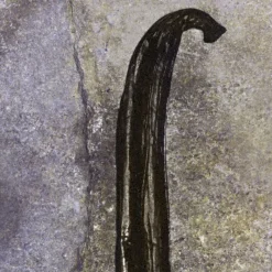 Discount Chloé Nomade Nuit d'Egypte Eau de Parfum Mujer Eau De Parfum Mujer