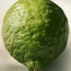 Chloé Rose Naturelle Intense Eau de Parfum Vaporizador Mujer Eau De Parfum Mujer