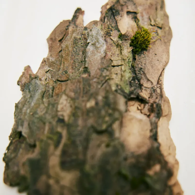 Chloé Rose Naturelle Intense Eau de Parfum Vaporizador Mujer Eau De Parfum Mujer