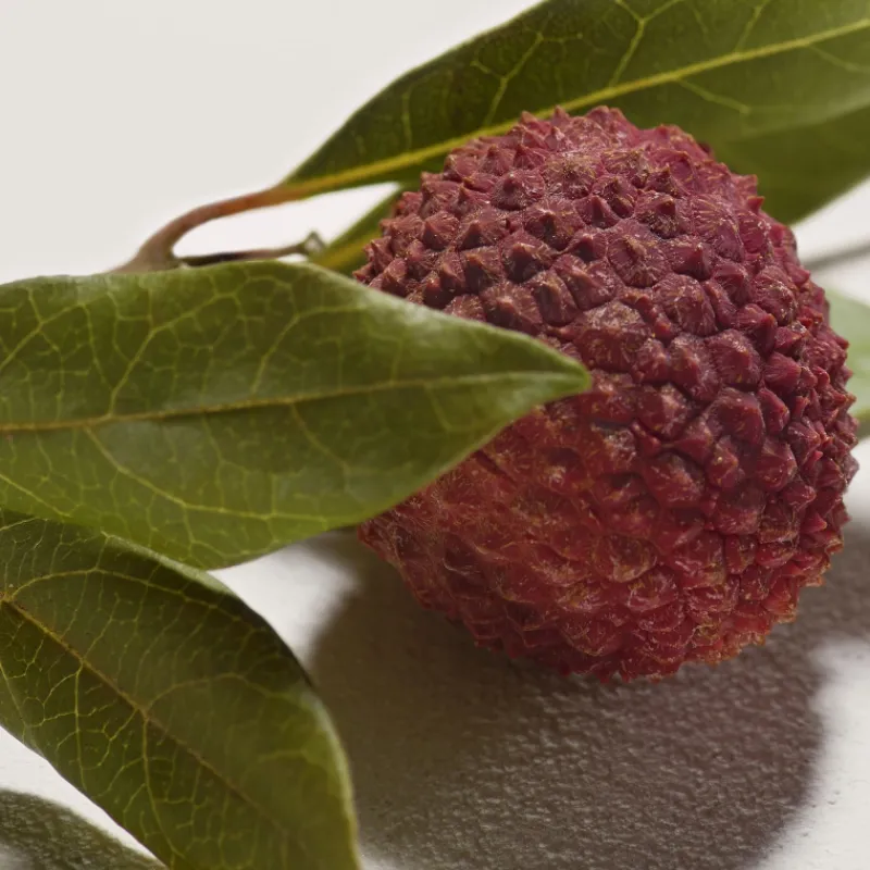 Best Chloé Signature Eau de Parfum Mujer Eau De Parfum Mujer