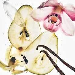 Clearance CK Nude Vanilla Bruma Perfumada para Cuerpo y Cabello Cuidado Ocasional