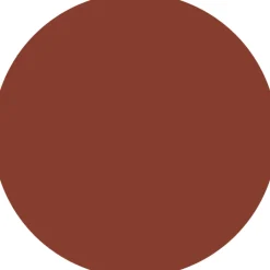 Online Colour Cushion Juicy Lip Oil Lip Gloss