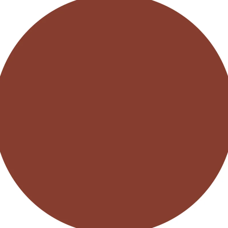 Online Colour Cushion Juicy Lip Oil Lip Gloss