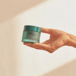 Discount Crema Antiarrugas con Avena Ecológica Arrugas|Tratamiento