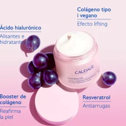 Online CREMA CACHEMIR REDENSIFICANTE RESVERATROL窶鏑IFT Facial