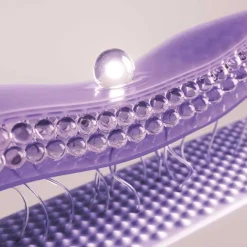 Clearance Crema Intensive Pro-Collagen + Facial