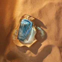 Outlet Cyprus Shell Eau de Parfum Mujer Eau De Parfum Mujer