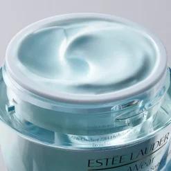 Hot Daywear Moisturizer Multi-Protection Anti-Oxidant 24H-Moisture Creme Spf 15 Karité|Miscelas