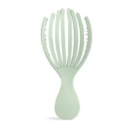 Hot Detangling Handle Brush Cepillos Y Peines