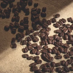 Discount Devotion Pour Homme Parfum Hombre Eau De Parfum Hombre|Eau De Parfum