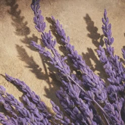 Discount Devotion Pour Homme Parfum Hombre Eau De Parfum Hombre|Eau De Parfum