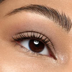 New Diamond Treasures Cream to Powder Eyeshadow Sombras