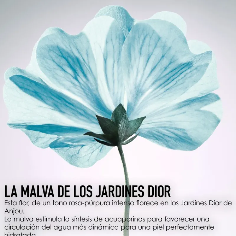 Best HYDRA LIFESoin yeux hydratation givrée Karité|Miscelas