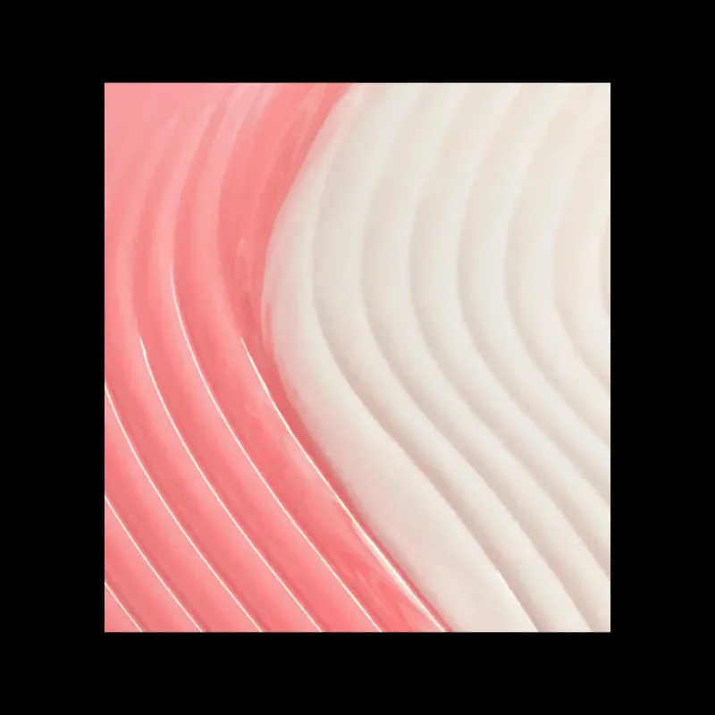 New DOUBLE FIX FOR LIPS Maquillaje