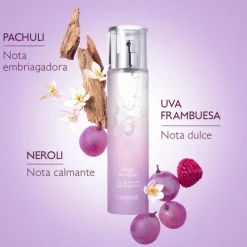 Sale EAU DE PERFUME ANGE DES VIGNES Corporal