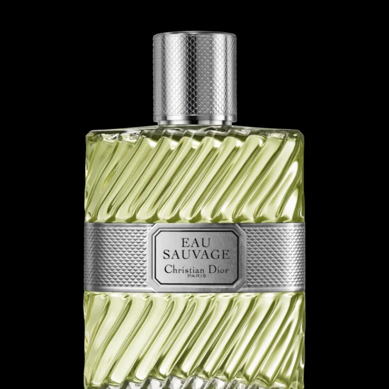Hot EAU SAUVAGEEau de Toilette sin Vaporizador Hombre Eau De Toilette Hombre|Eau De Toilette