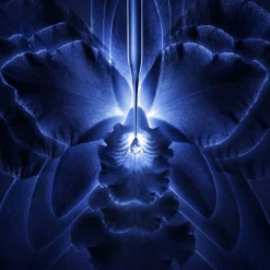 Best EL CONCENTRADO LOCIÓN-ESENCIA ORCHIDÉE IMPÉRIALE Orquídea|Vitamina A