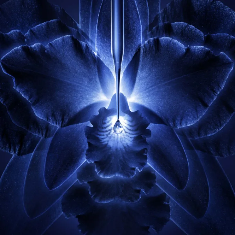 Best EL CONCENTRADO LOCIÓN-ESENCIA ORCHIDÉE IMPÉRIALE Orquídea|Vitamina A