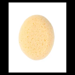 Online ESPONJA HIDRÓFILA Higiene Y Cuidado