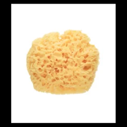 Sale ESPONJA NATURAL Higiene Y Cuidado