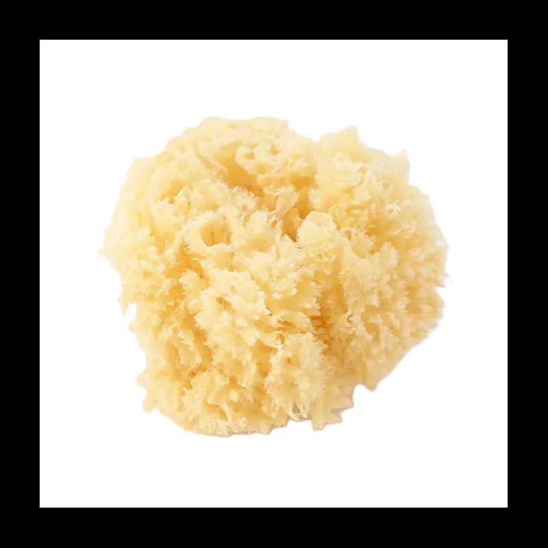 Sale ESPONJA NATURAL Higiene Y Cuidado