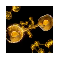 Outlet Aceite Excellage Facial