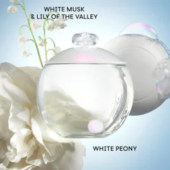 New Estuche NOA Eau de Toilette Mujer Estuches Y Gift Sets