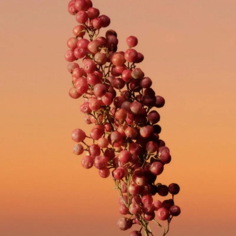 Clearance ETERNITY INTENSE WOMEN EAU DE PARFUM VAPORIZADOR Mujer Eau De Parfum Mujer