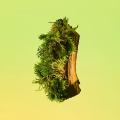 Outlet ETERNITY MEN AFTER SHAVE 100ML Hombre Tratamiento Corporal|Tratamiento Corporal