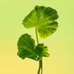 Outlet ETERNITY MEN AFTER SHAVE 100ML Hombre Tratamiento Corporal|Tratamiento Corporal