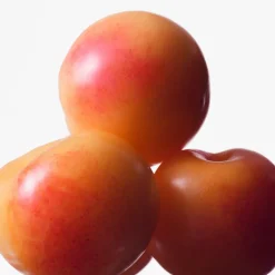 Best Euphoria Eau de Toilette para Mujer Mujer Eau De Toilette Mujer