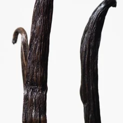 Best Euphoria Eau de Toilette para Mujer Mujer Eau De Toilette Mujer