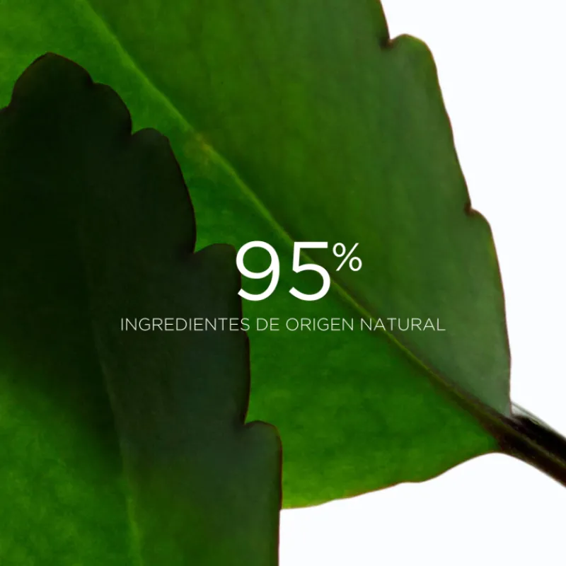 New Exfoliante Fresh Scrub Luminosidad|Limpieza