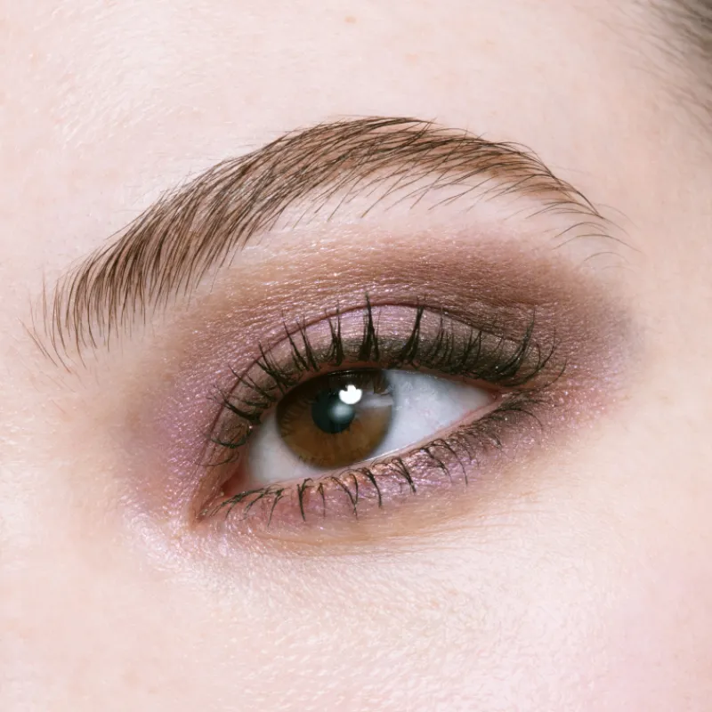 Best Eye Color Edición Limitada Sombras