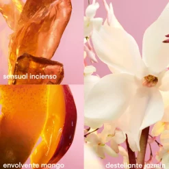 New FAME DESODORANTE SPRAY 150ML Mujer Tratamiento Corporal