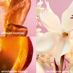 Hot FAME EDP 80ML RECARGABLE EDICIÓN LIMITADA Mujer Eau De Parfum Mujer