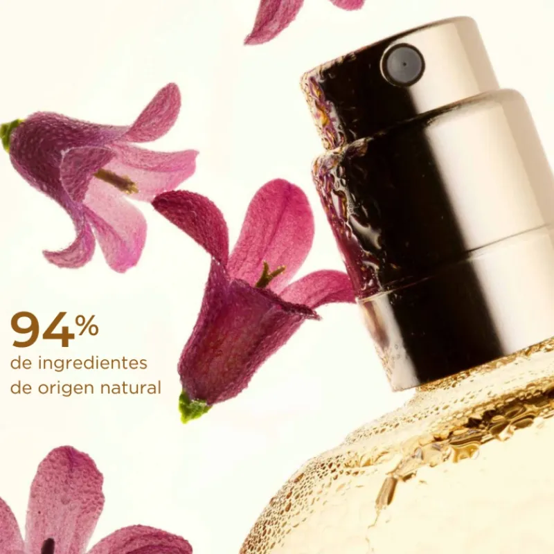 New Fix Make Up Gold Edición Limitada Acabado