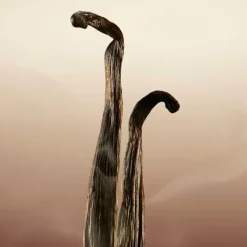 Sale GODDESS EAU DE PARFUM Mujer Eau De Parfum Mujer