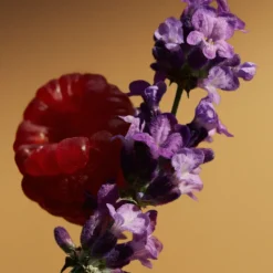 Hot Goddess Parfum para Mujer Mujer Eau De Parfum Mujer