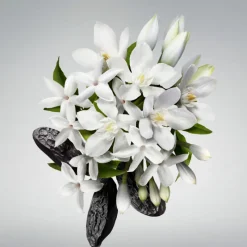 Best GOOD GIRL SHOWER GEL 200ML Mujer Tratamiento Corporal