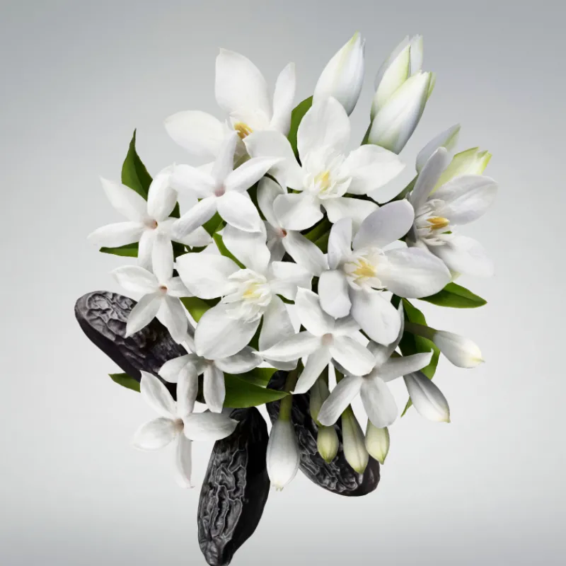 Best GOOD GIRL SHOWER GEL 200ML Mujer Tratamiento Corporal