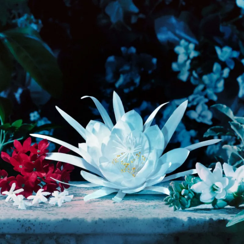 Sale BLOOM INTENSE EDP Mujer Eau De Parfum Mujer