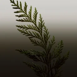 HERO PARFUM Hombre Eau De Parfum Hombre|Eau De Parfum